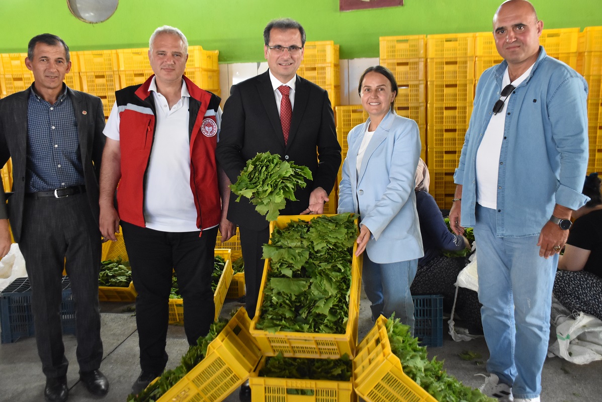 İlçemiz Kaymakamı Sayın Ali GÜLDOĞAN Asma Yaprağı İşletmesini ziyaret etti.